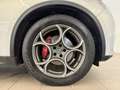 Alfa Romeo Stelvio Stelvio 2.2 Turbodiesel 190 CV AT8 Q4 Sprint Exec Wit - thumbnail 4