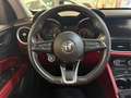 Alfa Romeo Stelvio Stelvio 2.2 Turbodiesel 190 CV AT8 Q4 Sprint Exec Wit - thumbnail 9