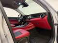 Alfa Romeo Stelvio Stelvio 2.2 Turbodiesel 190 CV AT8 Q4 Sprint Exec Wit - thumbnail 11
