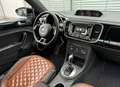 Volkswagen New Beetle 2.0TDI EXCLUSIVE/AUTOMATIK/XENON/SPOR Noir - thumbnail 10
