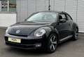 Volkswagen New Beetle 2.0TDI EXCLUSIVE/AUTOMATIK/XENON/SPOR Noir - thumbnail 3