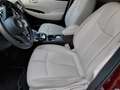 Nissan Leaf E+ Tekna 62 kWh AUTOM-NAVI-360 CAMERA Red - thumbnail 5