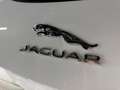 Jaguar F-Type FType V6 3.0 SC Coupe Auto Blanco - thumbnail 15