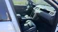 Land Rover Discovery Sport Discovery Sport Diesel TD4 Aut. SE Blanco - thumbnail 5