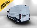 Renault Master FG T35 L2H2 Blue di 130cv PRONTA CONSEGNA Bianco - thumbnail 13