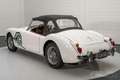 MG MGA 1600 Cabriolet | Zeer Goede Staat | 1961 Wit - thumbnail 10