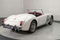 MG MGA 1600 Cabriolet | Zeer Goede Staat | 1961 Wit - thumbnail 8