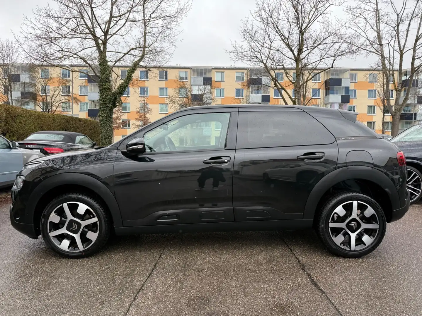 Citroen C4 Cactus Shine/Pano/Kamera/Navi/Alu/Drive-Ass. Schwarz - 2