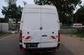 Volkswagen Crafter 1.Hand / SHZ / Klima / Kamera/ FzgNr:144 Weiß - thumbnail 4