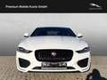 Jaguar XE D200 RWD R-Dynamic S +Keyless+Winter-Paket Biały - thumbnail 8