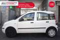 Fiat Panda FIAT Panda 1.4 MyLife Natural Power Unicopropriet Wit - thumbnail 4