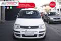 Fiat Panda FIAT Panda 1.4 MyLife Natural Power Unicopropriet Wit - thumbnail 9