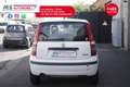 Fiat Panda FIAT Panda 1.4 MyLife Natural Power Unicopropriet Wit - thumbnail 7