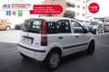 Fiat Panda FIAT Panda 1.4 MyLife Natural Power Unicopropriet Wit - thumbnail 12