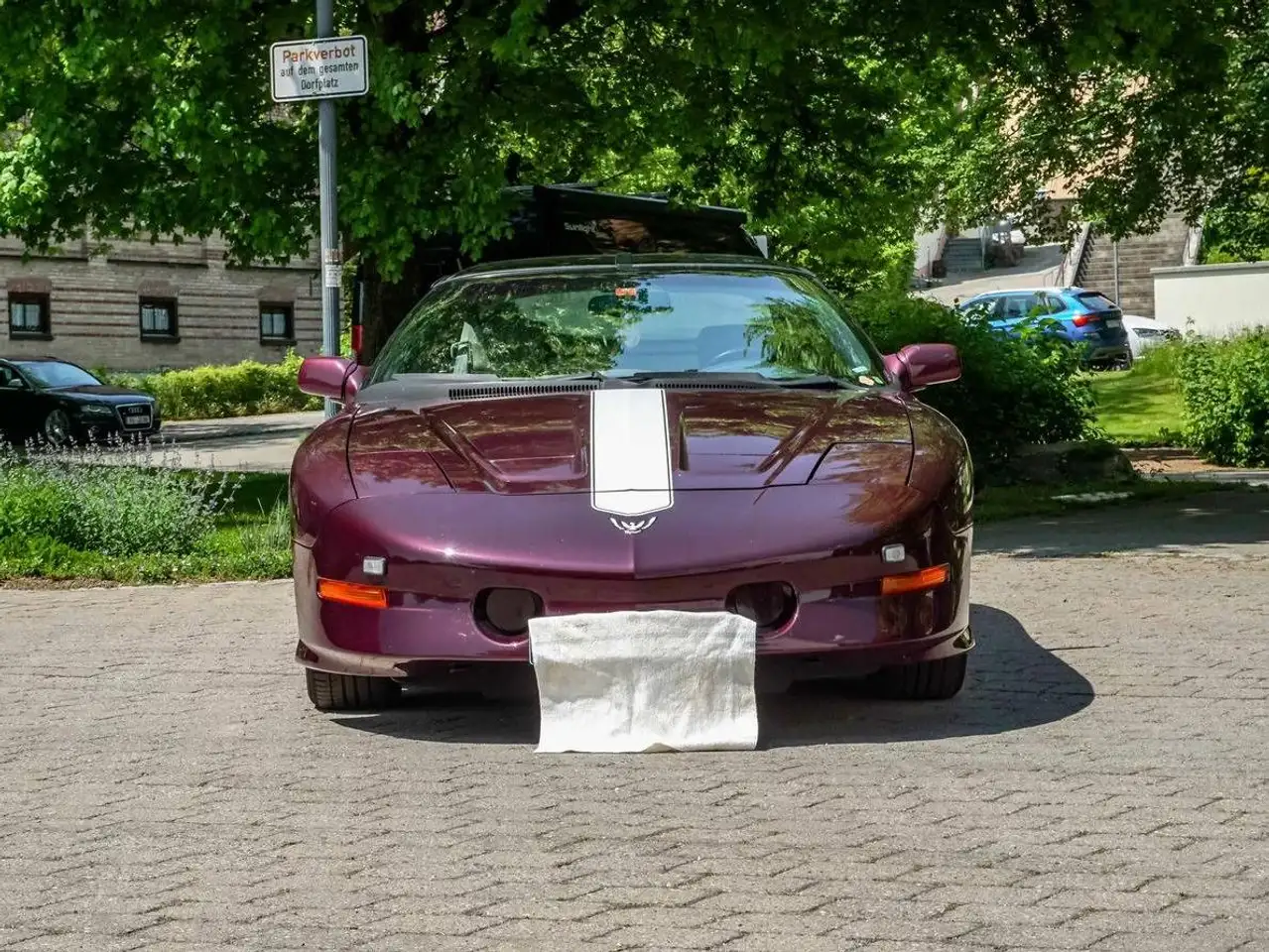 Pontiac Trans Am Firebird Trans Am, foto 3