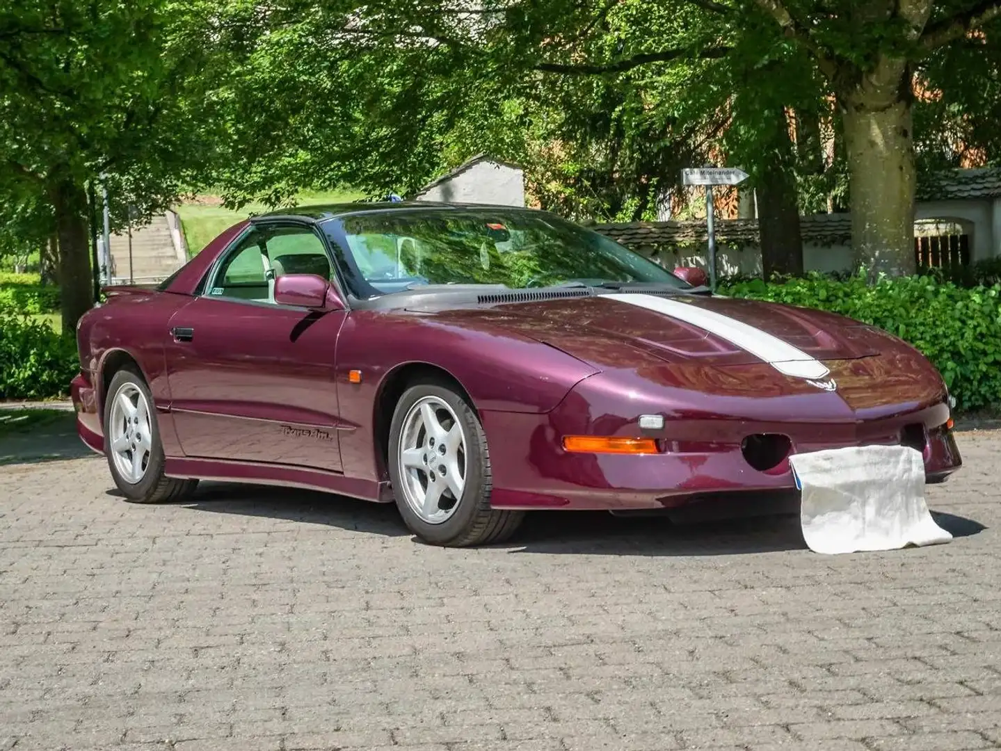 Pontiac Trans Am Firebird Trans Am Violett - 1