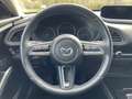 Mazda CX-30 Selection 360 Kamera SHZ Temp Bose Klimaautom Lenk Grijs - thumbnail 8
