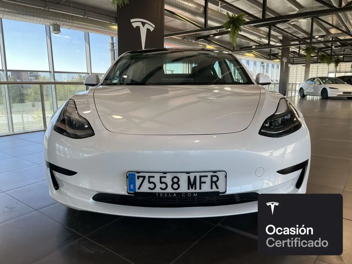 Tesla Model 3 Rear-Wheel Drive Weiß - 2