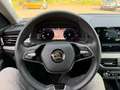 Skoda Kamiq Selection Navi,RFK,ACC,SHZ Gris - thumbnail 14