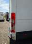 Iveco Daily 35S13 V Weiß - thumbnail 8