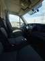 Iveco Daily 35S13 V Weiß - thumbnail 6