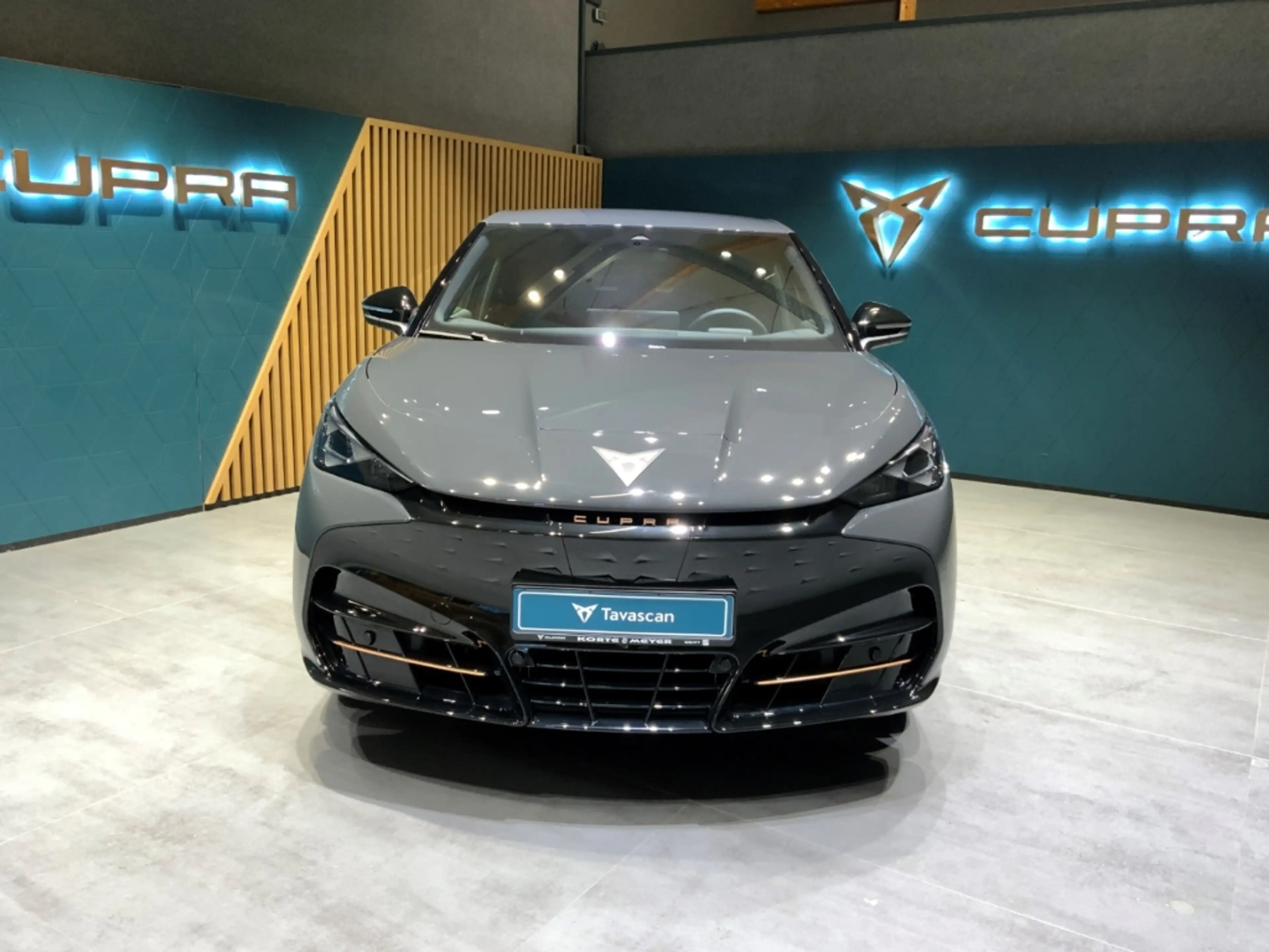CUPRA Tavascan Endurance 77kWh+ACC+LED+Navi — photo 3