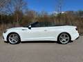 Audi A5 Cabriolet advanced 40 TFSI Matrix, ACC, AHK,Kamera Weiß - thumbnail 21