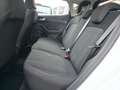 Ford Fiesta 5p 1.1 Plus 85cv my 19.5 OK PER NEOPATENTATI Bianco - thumbnail 12