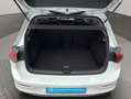 Volkswagen Golf VIII 1.0 eTSI DSG Move LED+SITZHZG+PDC+DAB+ Weiß - thumbnail 16