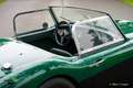 Austin Healey 3000 (BN6) Vert - thumbnail 34