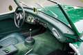 Austin Healey 3000 (BN6) Vert - thumbnail 13