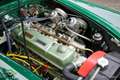 Austin Healey 3000 (BN6) Vert - thumbnail 21