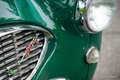 Austin Healey 3000 (BN6) Vert - thumbnail 28