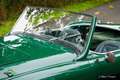 Austin Healey 3000 (BN6) Vert - thumbnail 33