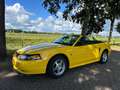 Ford Mustang Mustang 3.8 V6 Convertible Geel - thumbnail 13