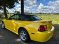 Ford Mustang Mustang 3.8 V6 Convertible Geel - thumbnail 1