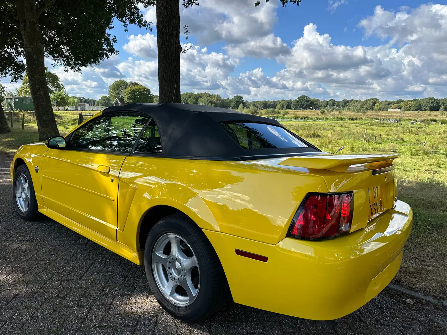 Ford Mustang Mustang 3.8 V6 Convertible Geel - 1