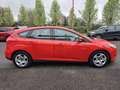 Ford Focus 1.0 EcoBoost 100 CV Rosso - thumbnail 6