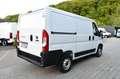 Fiat Ducato 2,3 Multijet 120 L1H1 Keine Zulassung Weiß - thumbnail 6