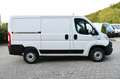 Fiat Ducato 2,3 Multijet 120 L1H1 Keine Zulassung Weiß - thumbnail 5
