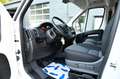 Fiat Ducato 2,3 Multijet 120 L1H1 Keine Zulassung Weiß - thumbnail 10