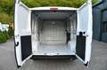 Fiat Ducato 2,3 Multijet 120 L1H1 Keine Zulassung Weiß - thumbnail 19
