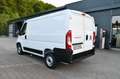 Fiat Ducato 2,3 Multijet 120 L1H1 Keine Zulassung Weiß - thumbnail 8