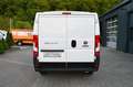Fiat Ducato 2,3 Multijet 120 L1H1 Keine Zulassung Weiß - thumbnail 7