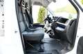 Fiat Ducato 2,3 Multijet 120 L1H1 Keine Zulassung Weiß - thumbnail 22