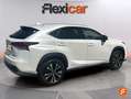 Lexus NX 300h 2.5 Business 2WD Blanco - thumbnail 4