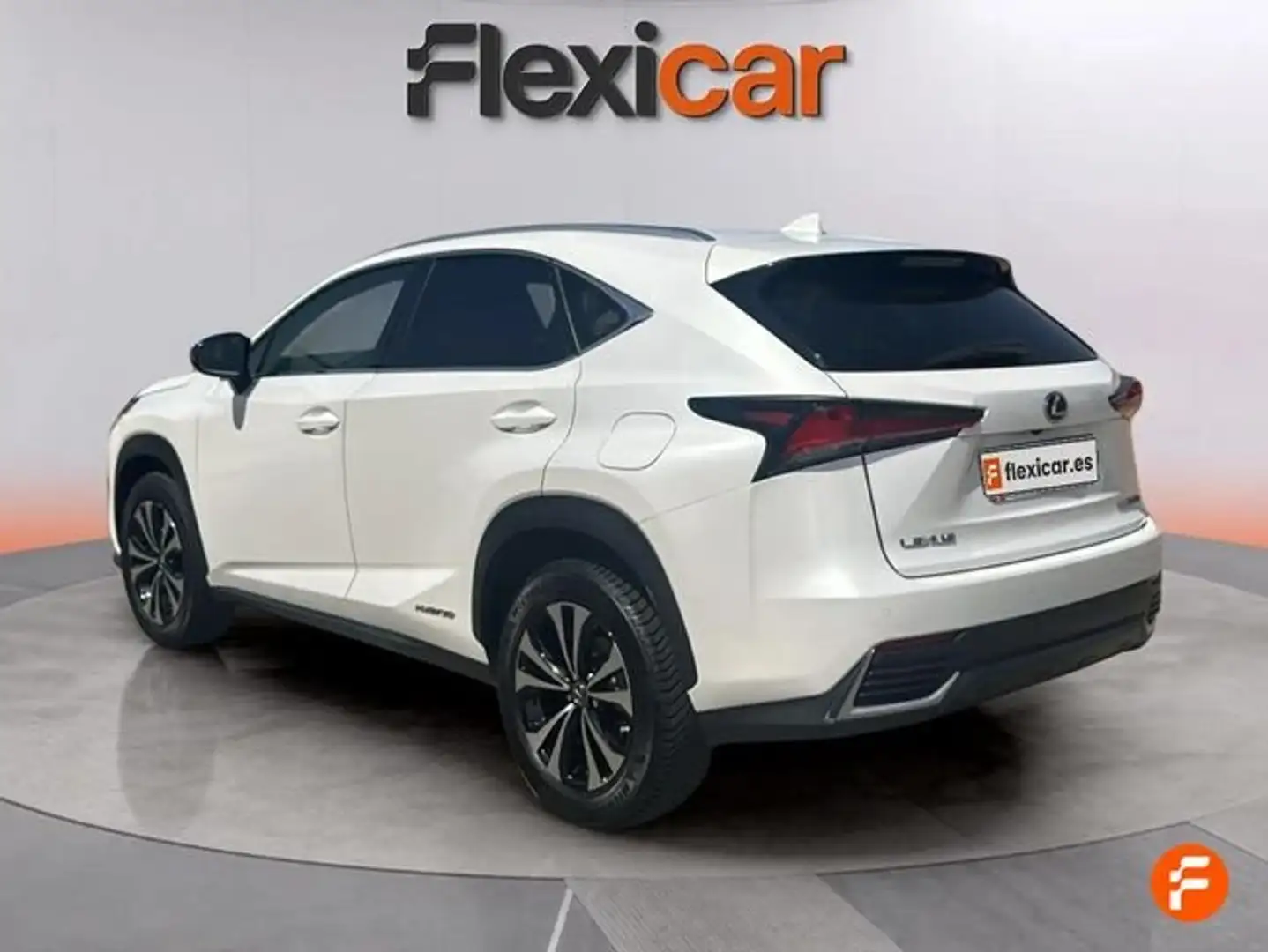 Lexus NX 300h 2.5 Business 2WD Blanco - 2