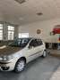 Fiat Punto 5p 1.2 Dynamic - thumbnail 2