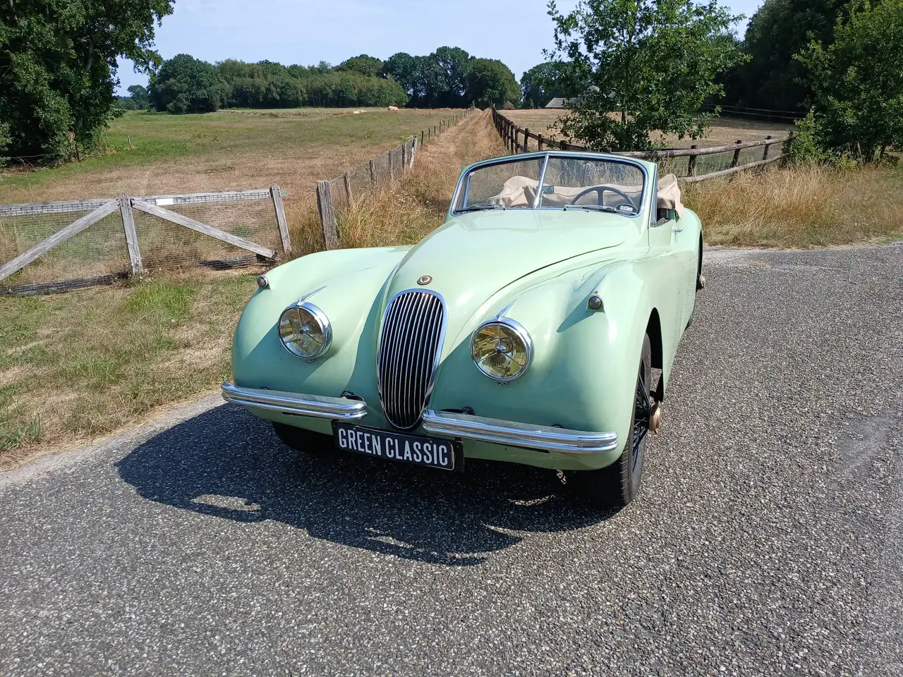 Jaguar XK120 DHC, foto 2