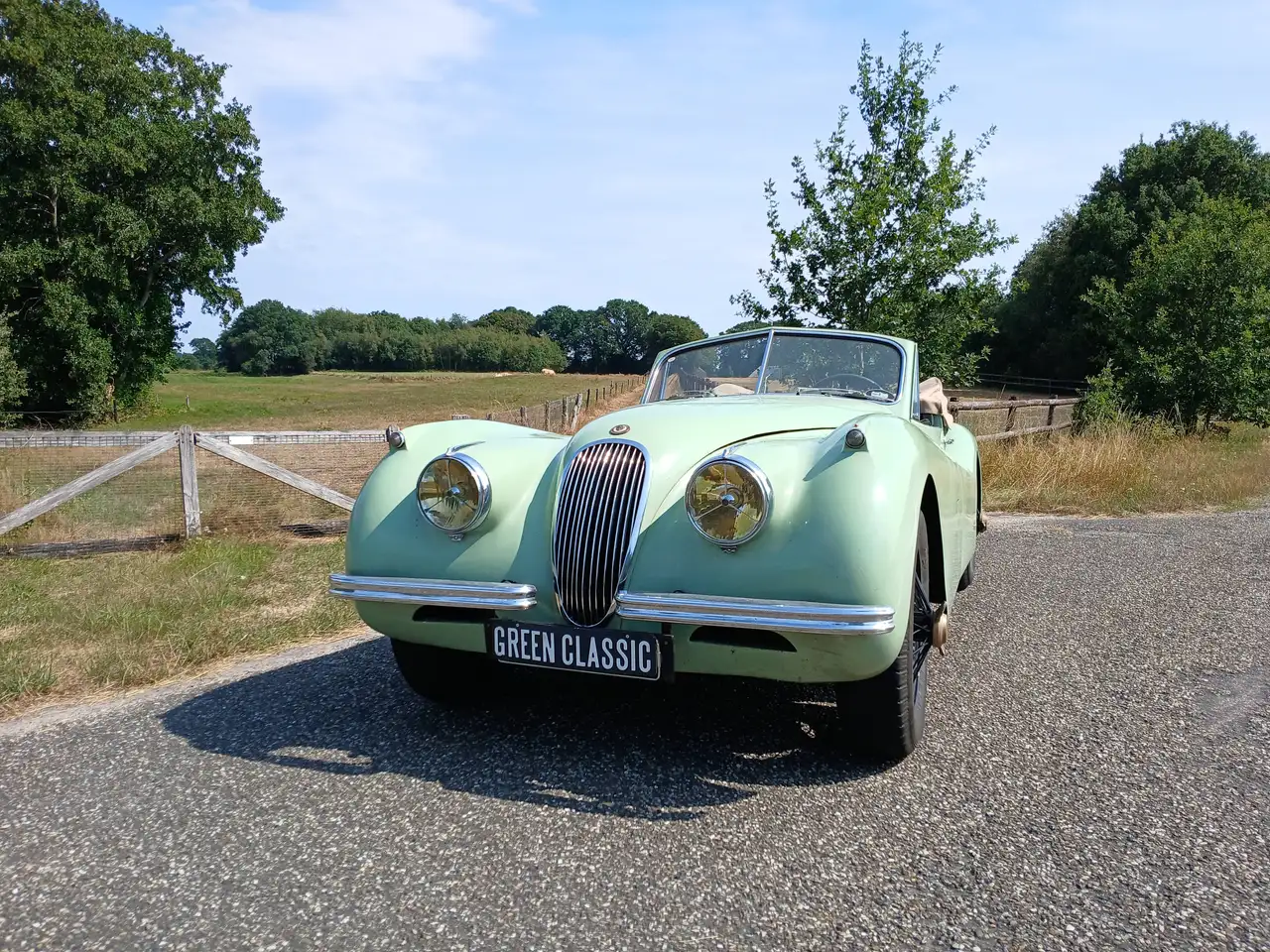 Jaguar XK120 DHC, foto 3